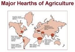 hearth geography human ap agricultural vocab unit quizlet review
