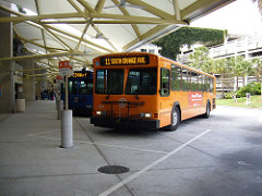 Public Transport System