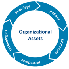 Organizational Process Assets (OPA)