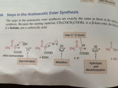 Acetoacetic Ester Synthesis