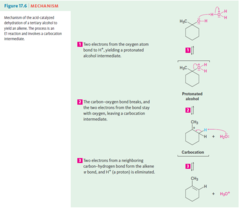 Alcohol + Carboxylic acids (in a strong acid)