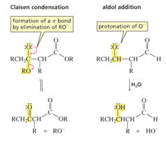Claisen Condensation versus Aldol addition products.