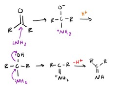 Condensation of Carbonyl
