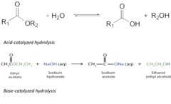 Hydrolysis of and Ester